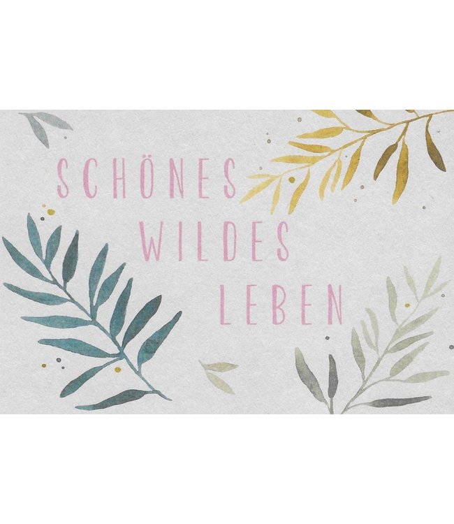 Anna Cosma Schönes wildes Leben