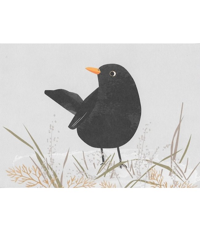 Vierundfünfzig Illustration Amsel