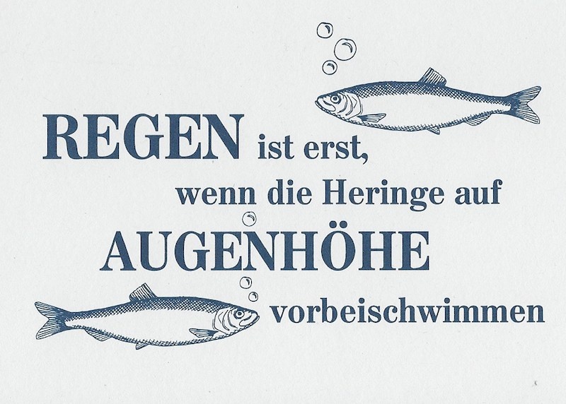 Regen ist wenn die Heringe Sprüche Postkarte im