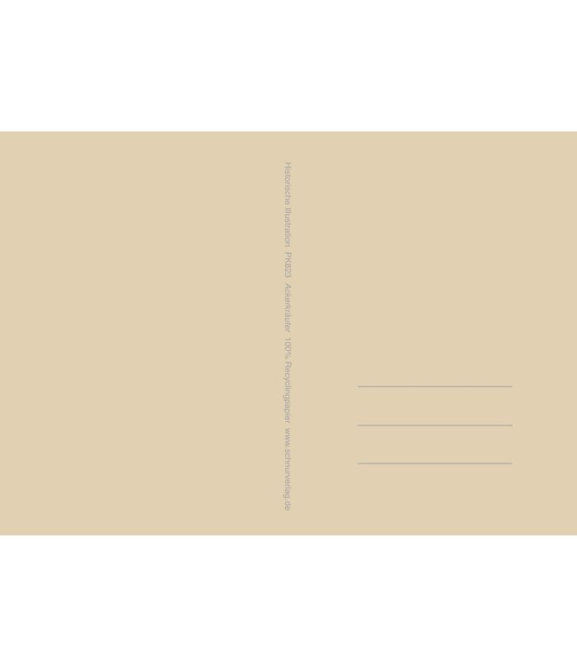 schnurkarten WILDPFLANZEN