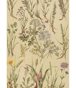 schnurverlag Auf der Wiese