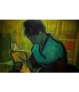 Vincent Van Gogh Die Roman Leserin