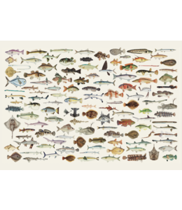 schnurverlag Fische
