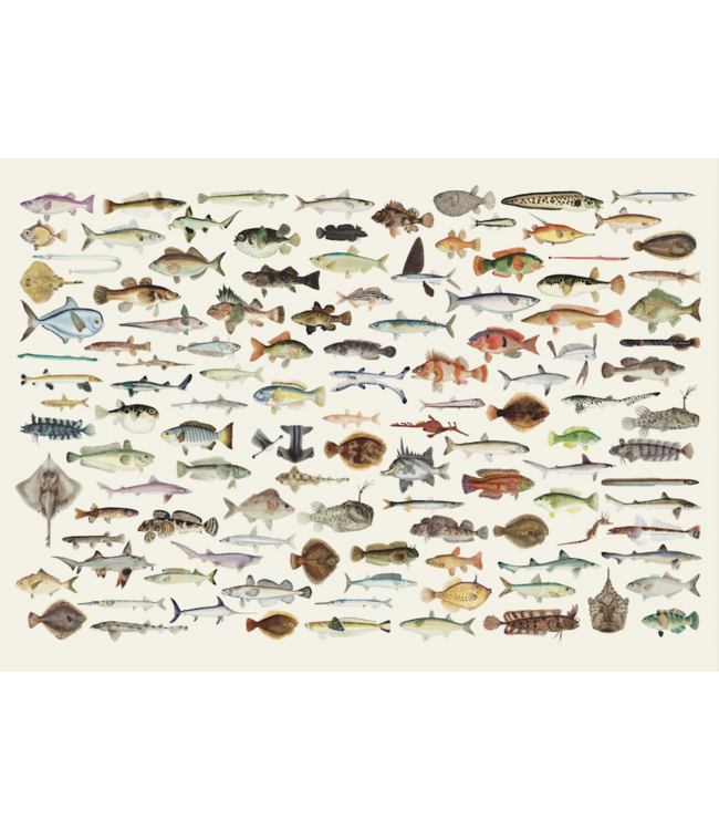 schnurverlag Fische