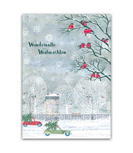 SKOWRONSKI & KOCH VERLAG Wundervolle Weihnachten