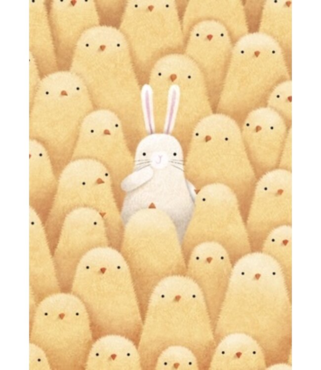 SKOWRONSKI & KOCH VERLAG Osterhase um Kükenschwarm