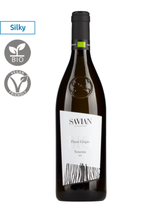 italie - veneto Savian Pinot Grigio 2025