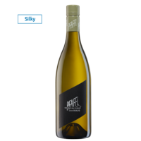 Weingut R&A Pfaffl Gruner Veltliner Vom Haus 2025