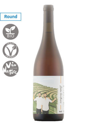 Zavec Brothers Pinot Gris Orange 2024