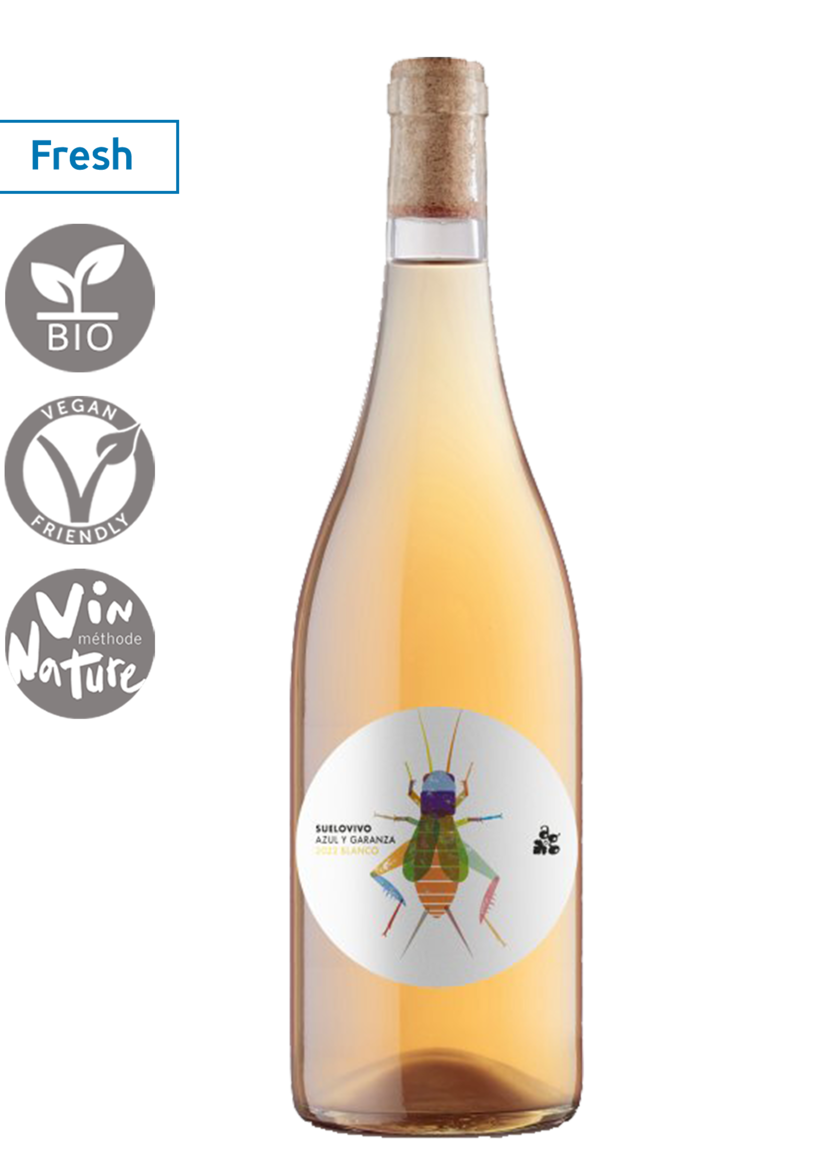 Suelo Vivo Orange 2024