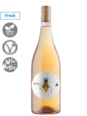 Suelo Vivo Orange 2024