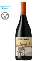 Survivor Pinotage 2022