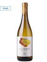 Il Forte Gavi 2024