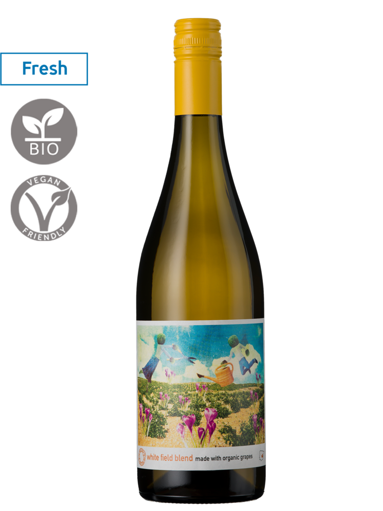 spanje - castilla la mancha Te Quiero White Field Blend 2025