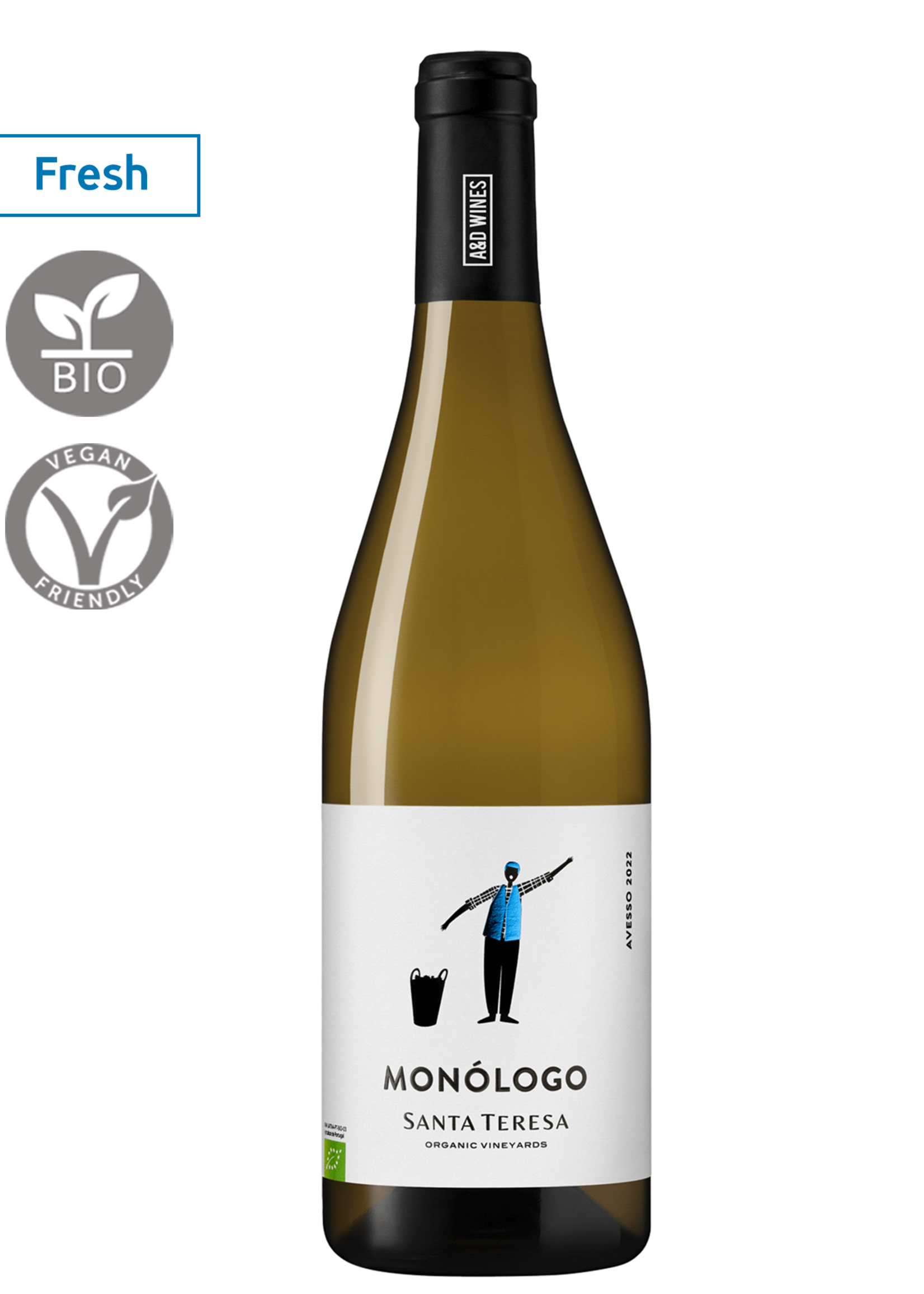 Santa Teresa Monologo Avesso 2024