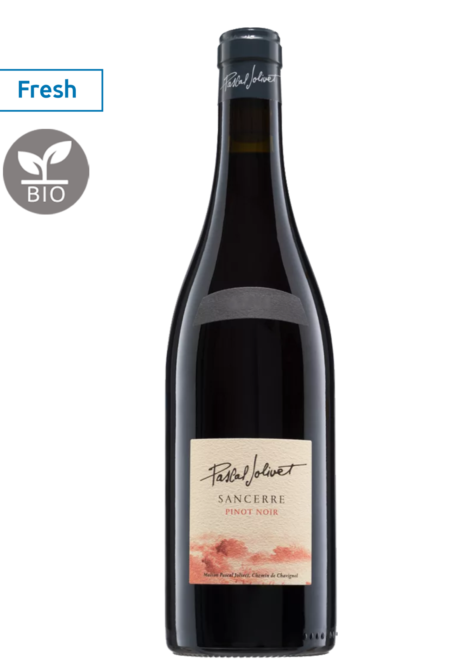 Pascal Jolivet Sancerre Pinot Noir 2023