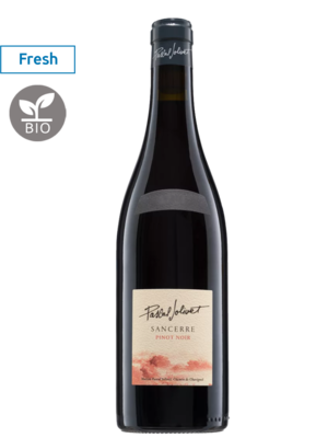 frankrijk - loire Pascal Jolivet Sancerre Pinot Noir 2024