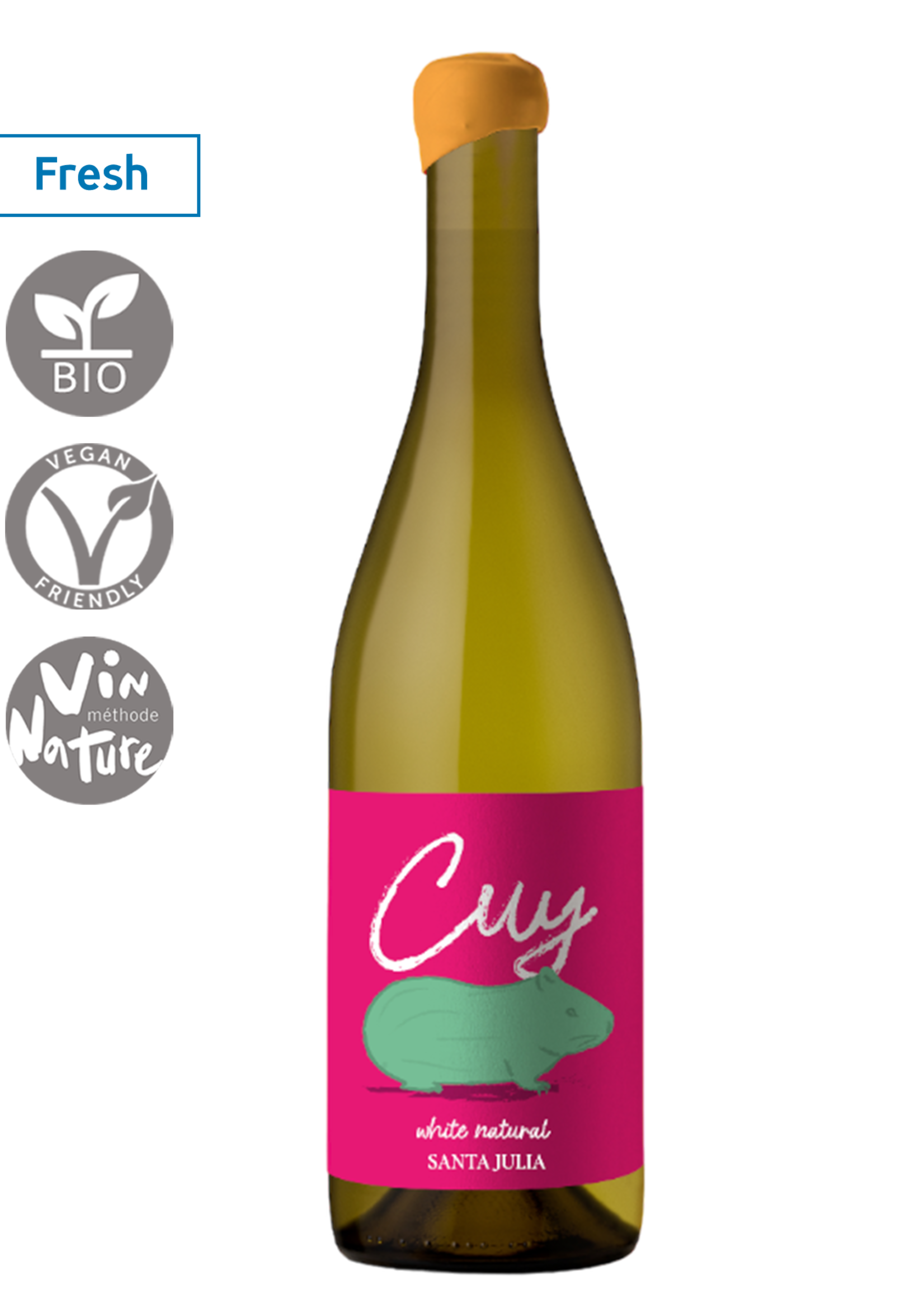 Cuy Torrontés Natural 2024