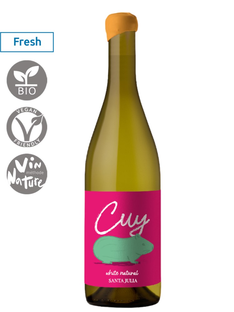 Cuy Torrontés Natural 2024