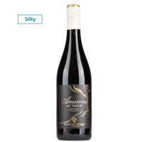 Antiche Terre Venete Amarone della Valpolicella 2022