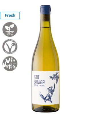 frankrijk - languedoc Petit Sauvage Blanc 2025