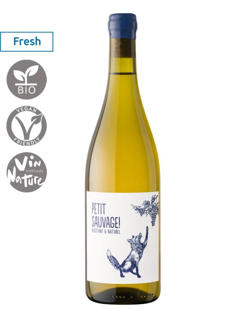 frankrijk - languedoc Petit Sauvage Blanc 2025