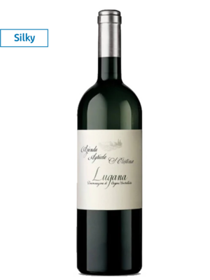 italie - veneto Santa Cristina Lugana Massoni 2025