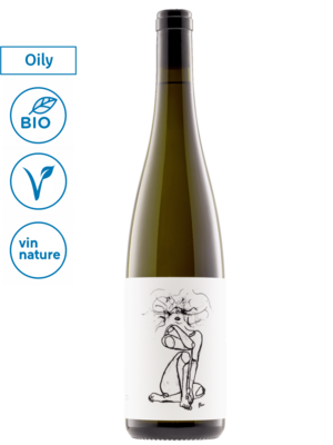 Geyerhof Hofstudien Pinot Blanc 2025