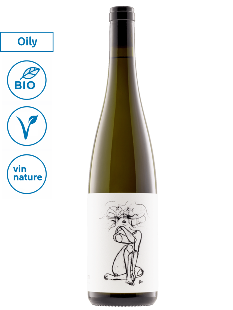 Geyerhof Hofstudien Pinot Blanc 2025