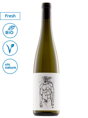 Geyerhof Hofstudien Grüner Veltliner 2025