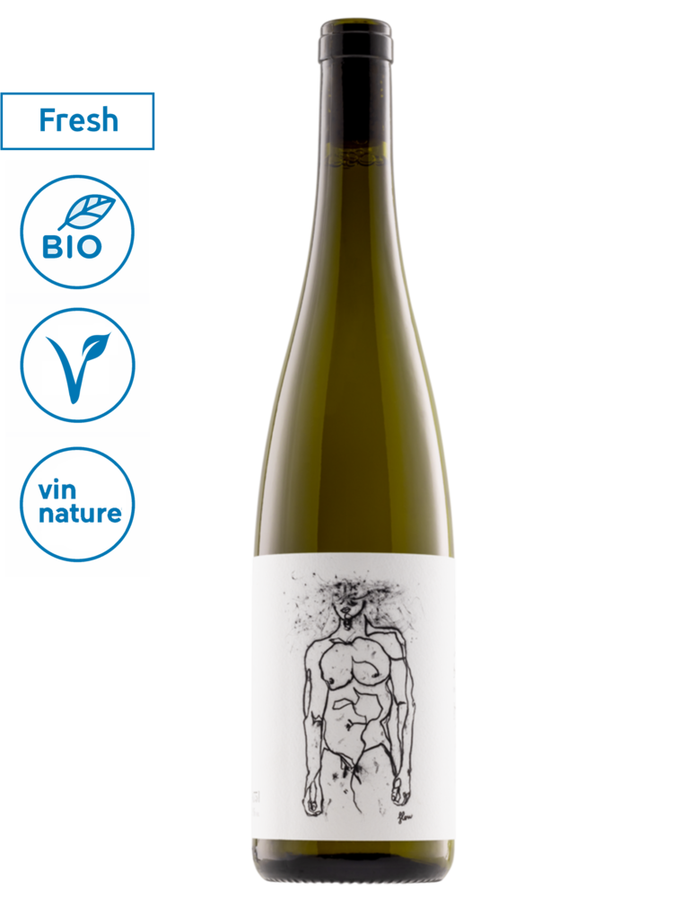 oostenrijk - neder-oostenrijk Geyerhof Hofstudien Grüner Veltliner 2025