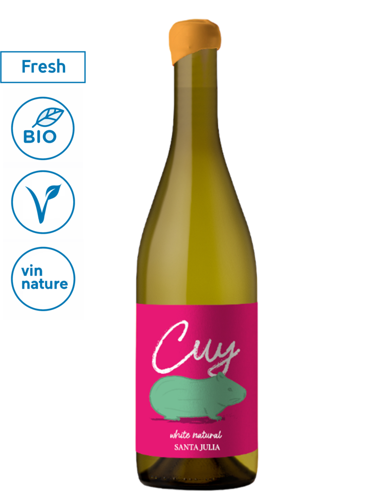 Cuy Torrontés Natural 2024