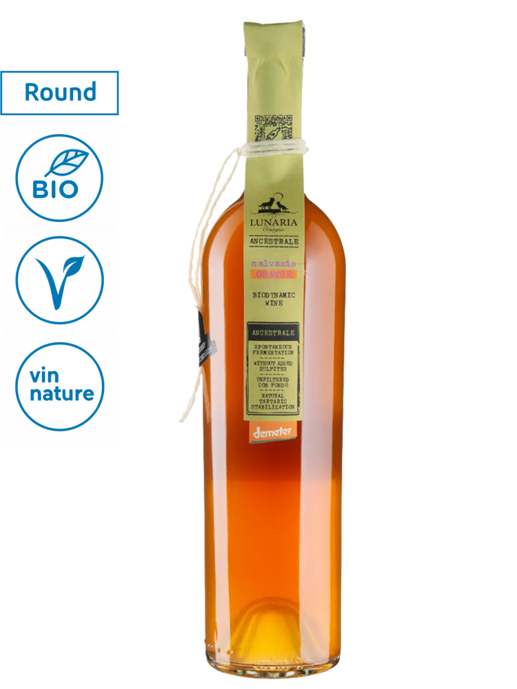 Lunaria Ancestrale Malvasia Orange 2025
