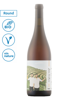 Zavec Brothers Pinot Gris Orange 2024
