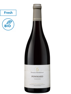 Domaine Berthelemot Pommard Noizons 2023