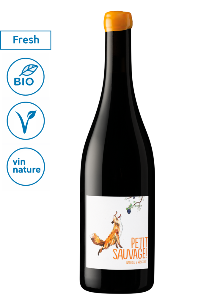 Petit Sauvage Rouge 2024