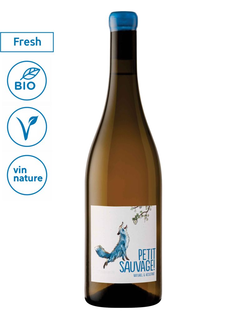 frankrijk - languedoc Petit Sauvage Blanc 2025
