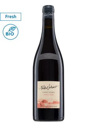 Pascal Jolivet Sancerre Pinot Noir 2024