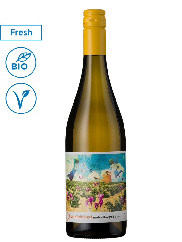 Te Quiero White Field Blend 2025