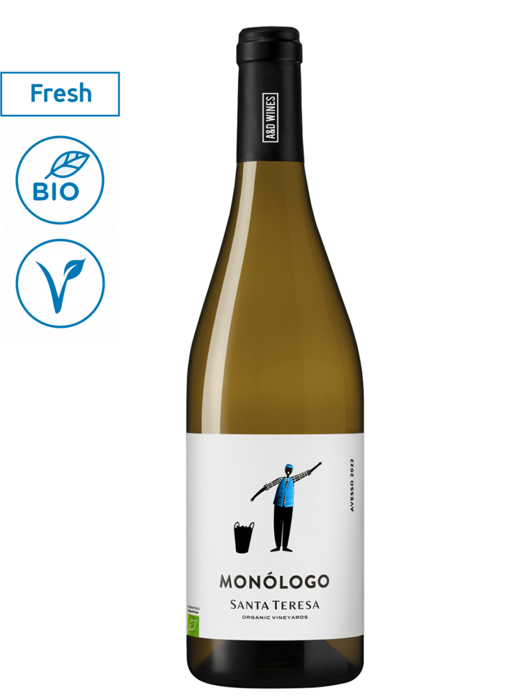 Santa Teresa Monologo Avesso 2025
