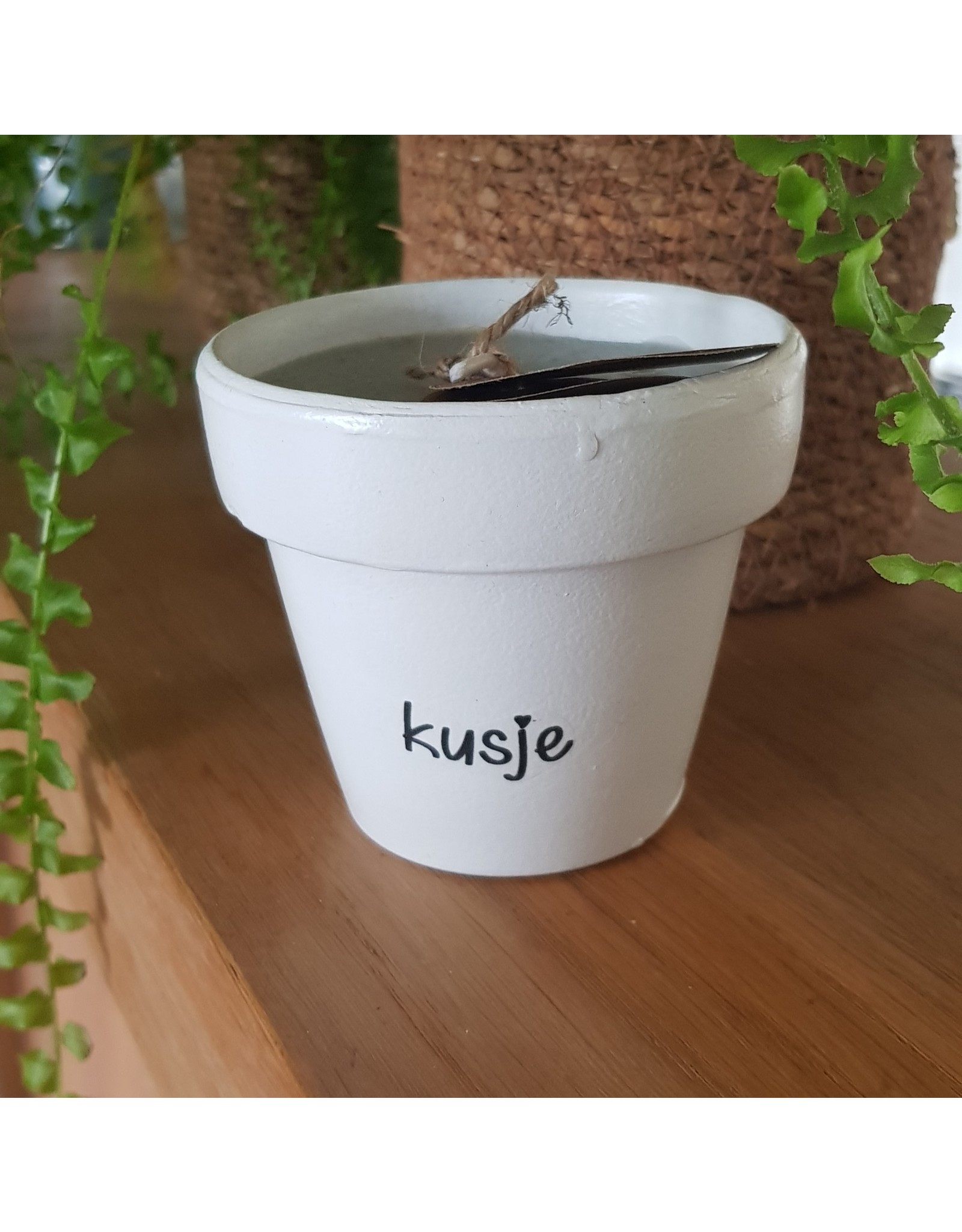 De kanjers van 's Heerenloo  Potje koolzaadwas | tekst | de Kanjers van 's Heeren Loo