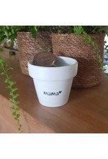 De kanjers van 's Heerenloo  Potje koolzaadwas | tekst | de Kanjers van 's Heeren Loo