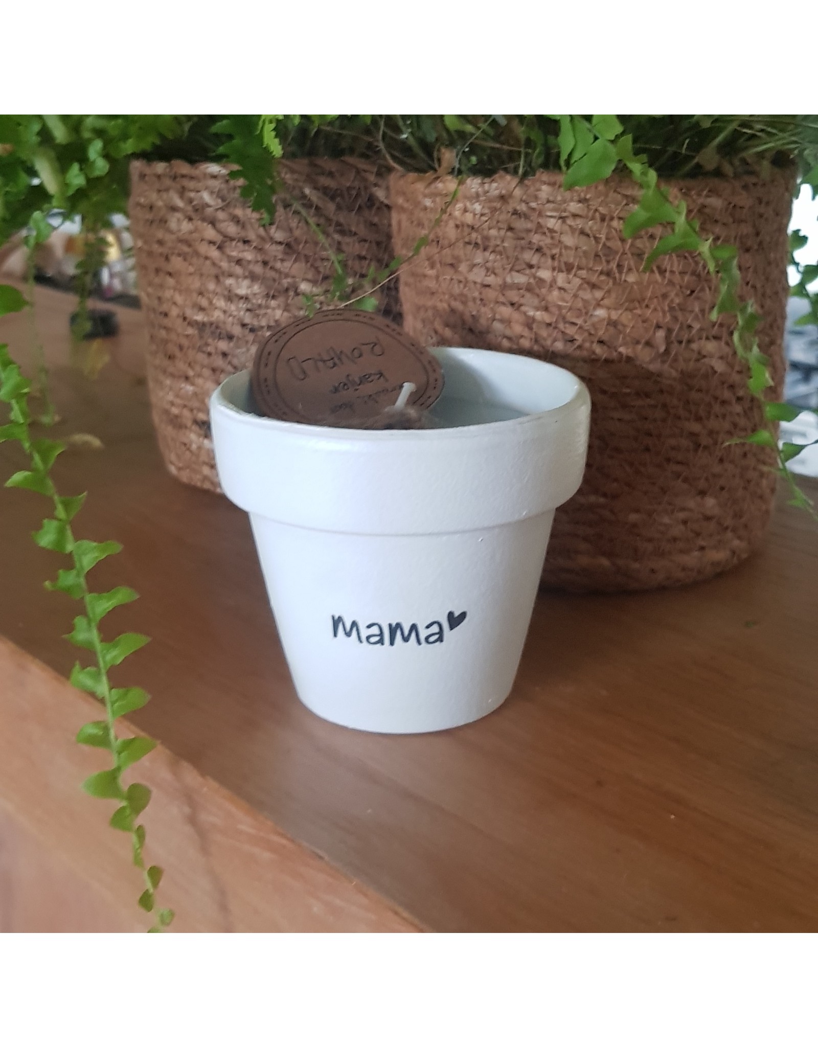 De kanjers van 's Heerenloo  Potje koolzaadwas | tekst | de Kanjers van 's Heeren Loo