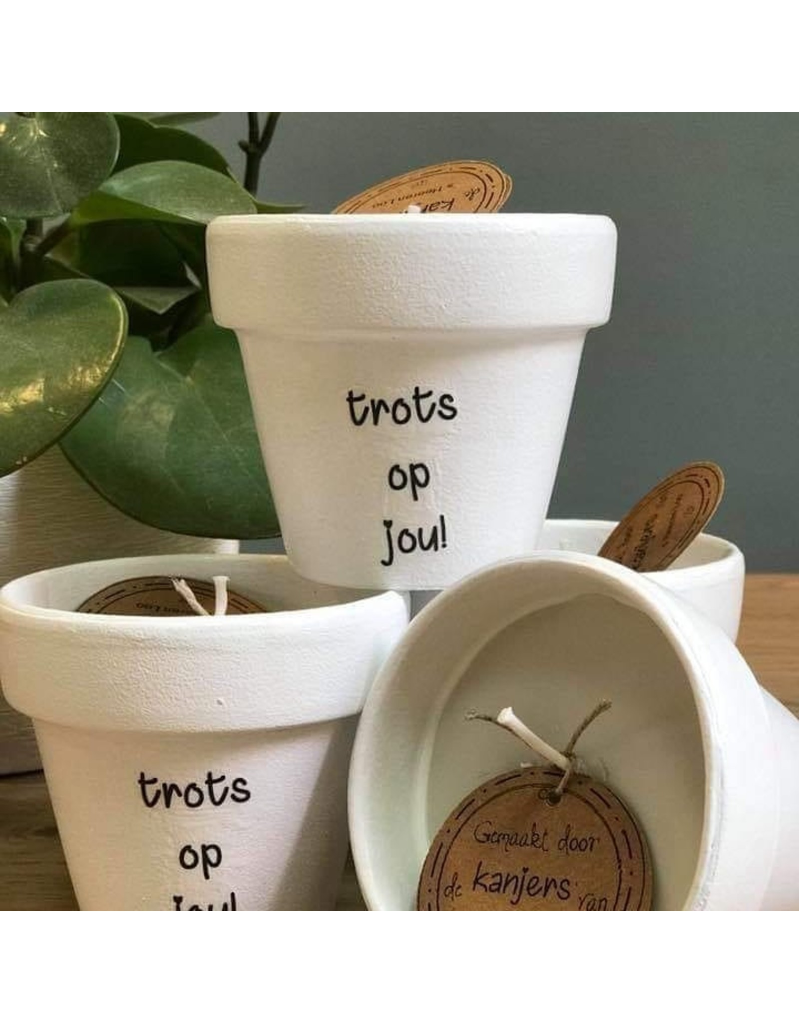 De kanjers van 's Heerenloo  Potje koolzaadwas | tekst | de Kanjers van 's Heeren Loo