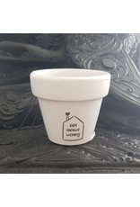 De kanjers van 's Heerenloo  Potje koolzaadwas | tekst | de Kanjers van 's Heeren Loo