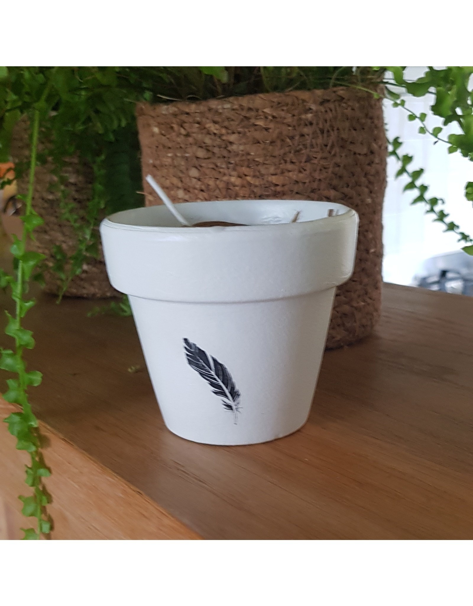 De kanjers van 's Heerenloo  Potje koolzaadwas | afbeelding | Kanjers van 's Heeren Loo