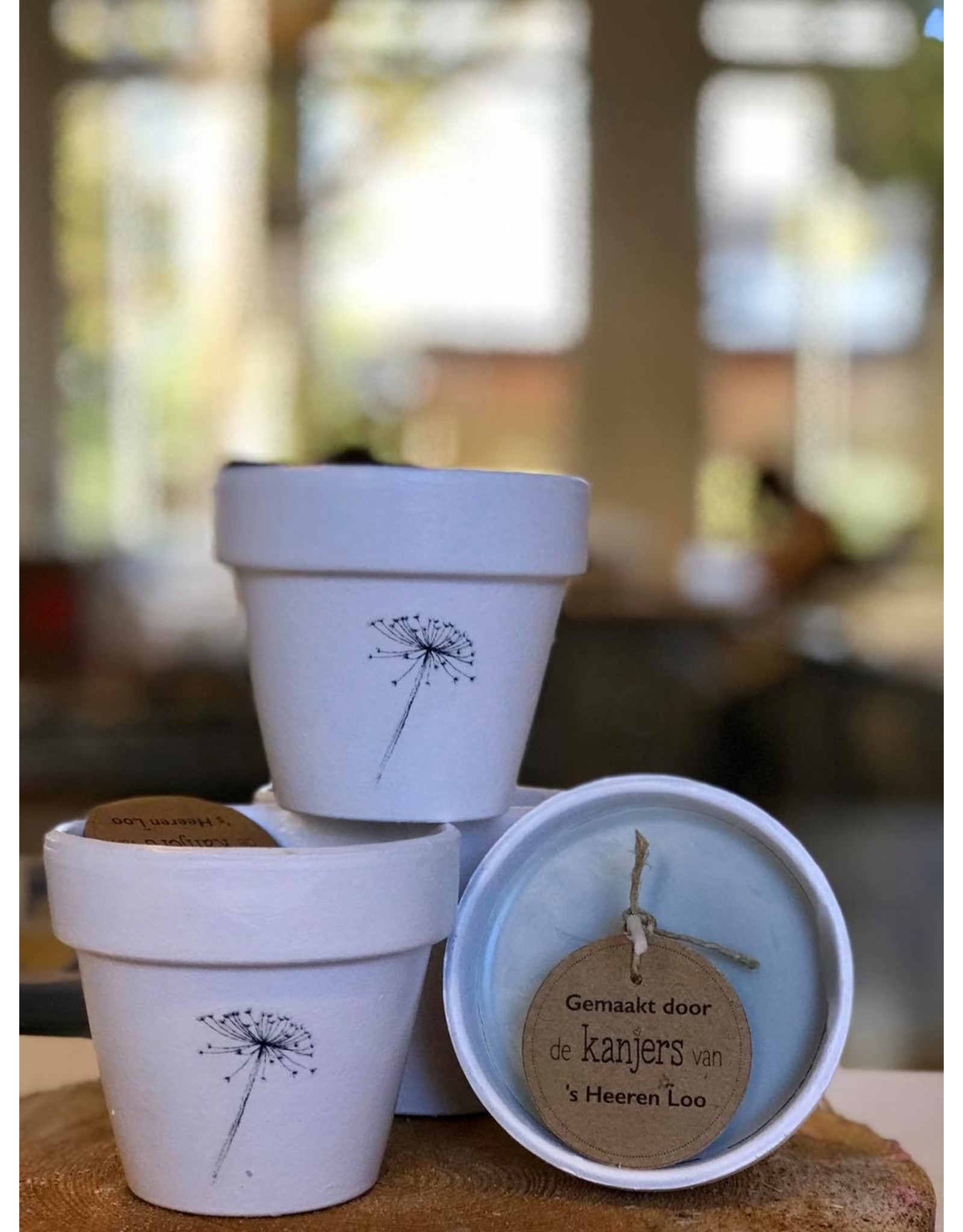 De kanjers van 's Heerenloo  Potje koolzaadwas | afbeelding | Kanjers van 's Heeren Loo