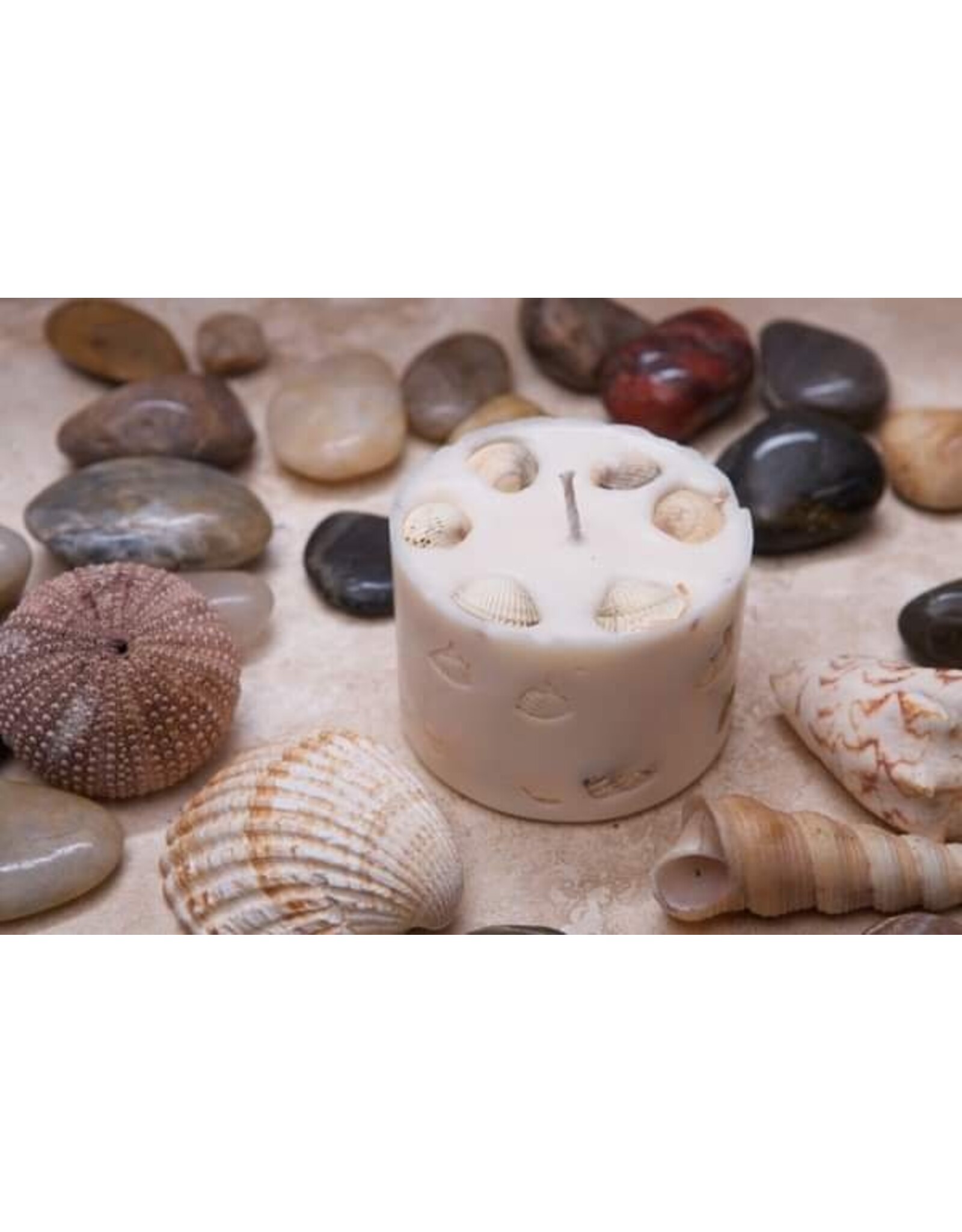 Beauty Scents geurkaarsen Geurkaars met schelpen | Beauty Scents