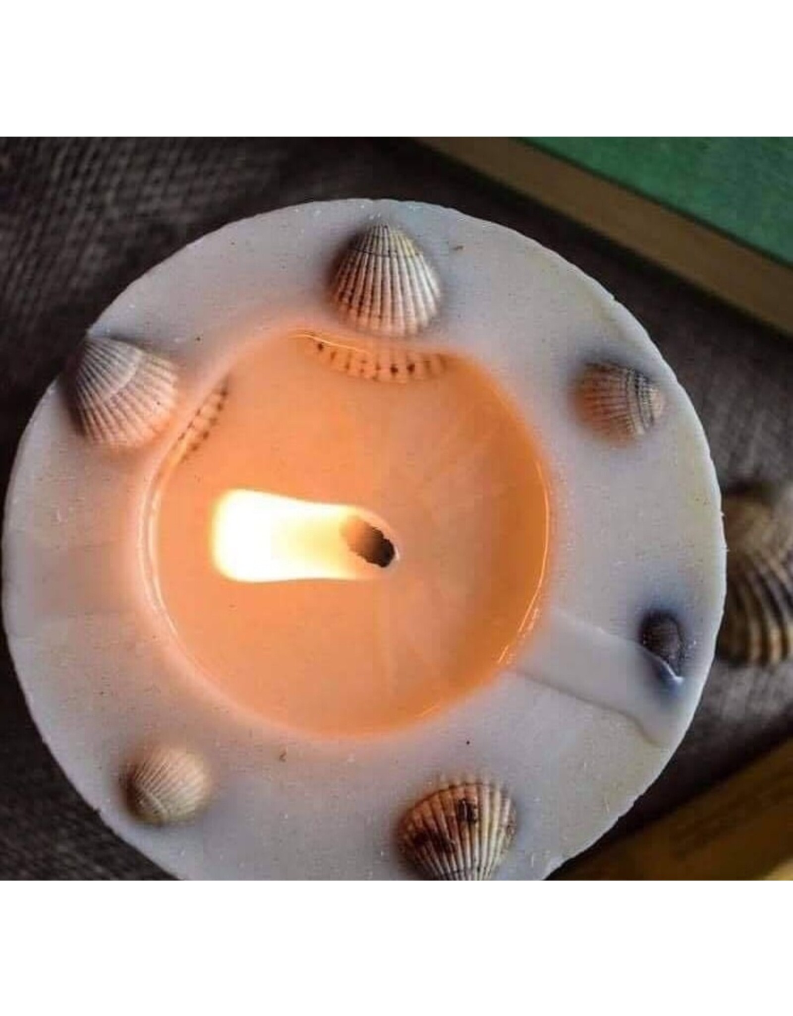 Beauty Scents geurkaarsen Geurkaars met schelpen | Beauty Scents