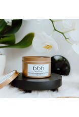 Geurkaars met edelstenen | 666 | Manifest Candle | ExclusJess